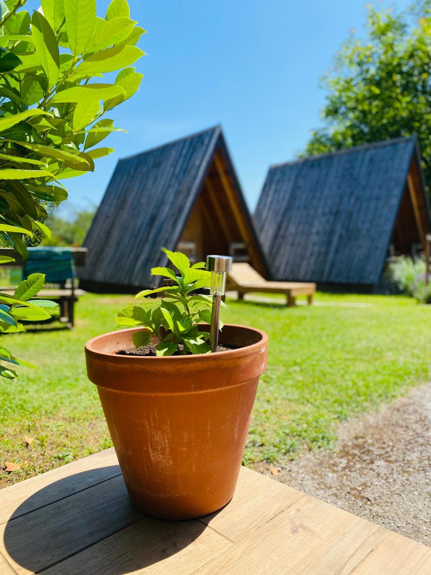 Rooms & Glamping Lana Haus Licko Petrovo Selo Екстериор снимка