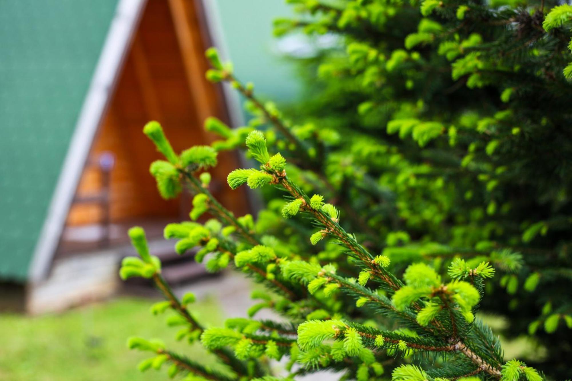Rooms & Glamping Lana Haus Licko Petrovo Selo Екстериор снимка