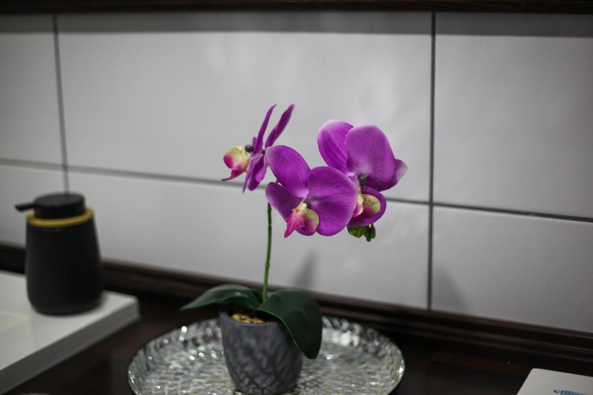 Rooms & Glamping Lana Haus Licko Petrovo Selo Екстериор снимка